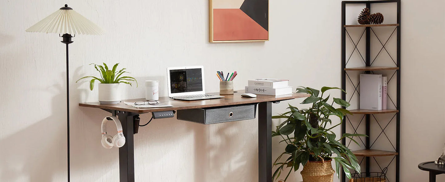 MBM 55 Inch Electric Standing Desk